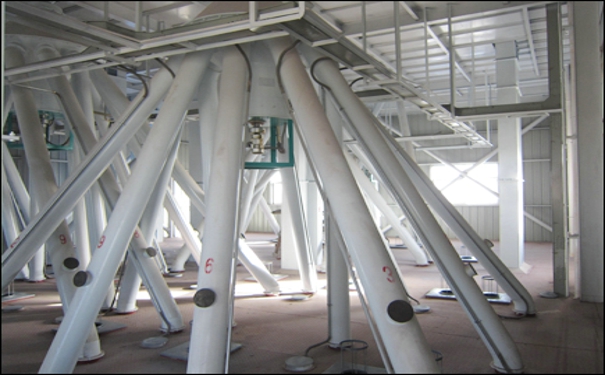 飼料成套生產(chǎn)設(shè)備多少錢(qián)?其又如何實(shí)現(xiàn)更好的發(fā)展呢?