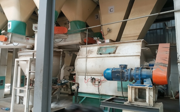 飼料加工設(shè)備助力我國(guó)畜牧業(yè)在市場(chǎng)競(jìng)爭(zhēng)中不斷壯大