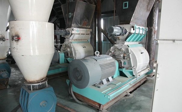 鴨飼料機械多少錢?保障其長遠發(fā)展又可從哪幾方面著手?